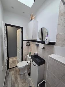 a bathroom with a white toilet and a sink at MAISON LA SOURCE d'hôte à Roubaix in Roubaix +40 photos