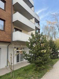 a pine tree in front of a building at Apartament Marco z balkonem in Oleśnica