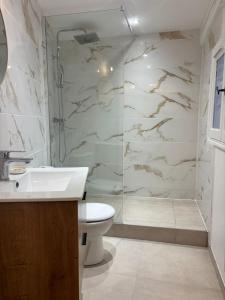 a bathroom with a shower and a toilet and a sink at Grand studio 31 m2 plus mezzanine centre ville grasse in Grasse