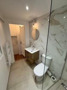 a bathroom with a toilet and a sink and a shower at Grand studio 31 m2 plus mezzanine centre ville grasse in Grasse