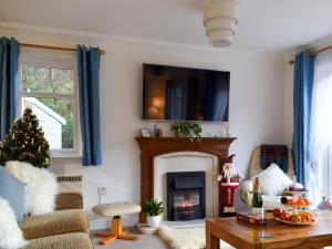 a living room with a christmas tree and a fireplace at Dream Cottage in Strathyre