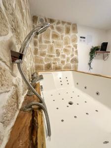 a shower in a room with a stone wall at Cocon détente & Jacuzzi(Balnéo) in Dieppe