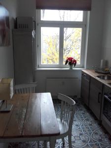 ライプツィヒにあるApartment am Kanalのキッチン(木製テーブル付)、窓
