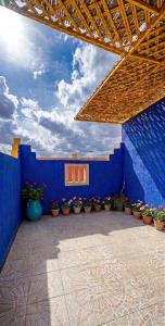 a blue room with potted plants and a blue wall at Luxury apartment and duplex in Ouarzazate