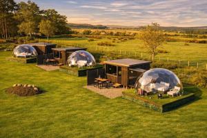 a group of domed tents in a field at Glamping Domes in Articlave