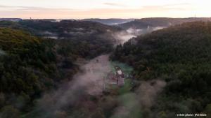 an aerial view of a forest in the fog at Maison d'hôtes complète La Paulusmühle in Soucht