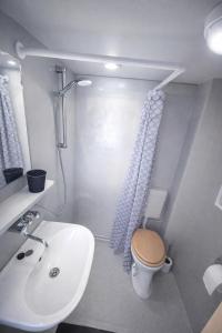a small bathroom with a toilet and a sink at Landgoed Rotermundt in Huijbergen