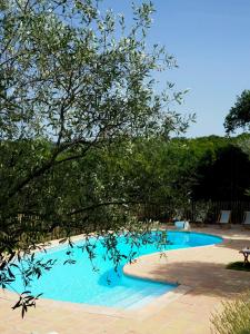a blue swimming pool with a tree next to it at Designer Cabin With Shared Pool In Bras in Bras
