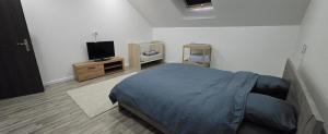 a bedroom with a bed and a flat screen tv at Lauberge de Villeron in Savigny-en-Revermont
