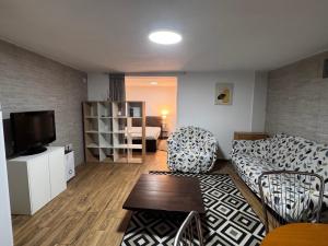 a living room with a couch and a tv at Studio Park in Craiova