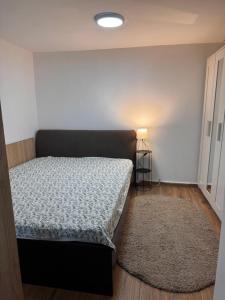 a small bedroom with a bed and a rug at Studio Park in Craiova