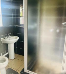 a bathroom with a shower and a toilet and a sink at Folang Resort in Centurion