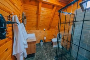 a bathroom with a toilet and a sink at Sapanca Ruby Bungalow in Sapanca +27 photos