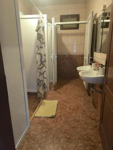 a bathroom with a shower and a sink at CycloCamp & Hostel in Skorenovac +57 photos