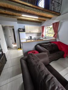 a living room with a couch and a kitchen at Frangipani guesthouse in Hartbeespoort