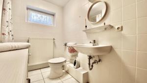 a bathroom with a sink and a toilet and a mirror at Wiesenhaus, Ferienhaus in Manderscheid +13 photos