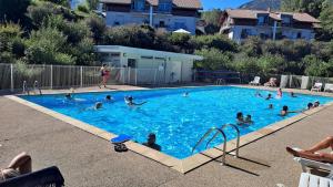 a group of people swimming in a swimming pool at Chez Jiri - Piscine, Balcon vue Alpes, Spacieux T2 in Gex