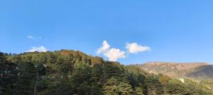a view of a mountain with trees on it at Little Tibet Mcleodganj in Dharmsāla