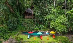 a garden with umbrellas in front of a swimming pool at Bamboo Turtles Ecolodge in Ubud
