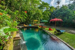 a pool with chairs and umbrellas next to a river at Bamboo Turtles Ecolodge in Ubud