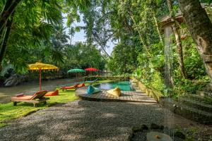 a pool with chairs and umbrellas next to a river at Bamboo Turtles Ecolodge in Ubud