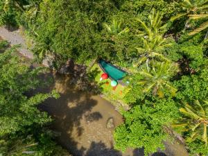 an aerial view of a resort with a pool and trees at Bamboo Turtles Ecolodge in Ubud