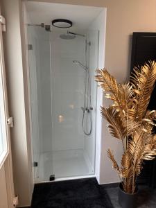 a shower with a glass door next to a plant at Maison Malo in As +11 photos