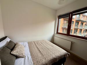 a bedroom with a bed and a window at JustInRent Family Szpitalna 4D-3 in Legnica