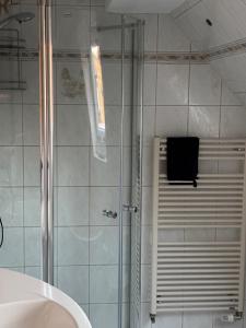 a shower with a glass door in a bathroom at Ferienwohnung Hocke in Wulfsen +20 photos
