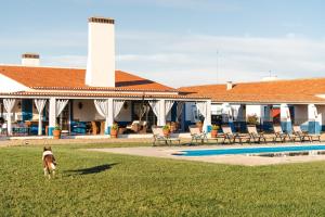 a dog standing in the grass in front of a house at Charming Farm House With Pool in Ferreira do Alentejo