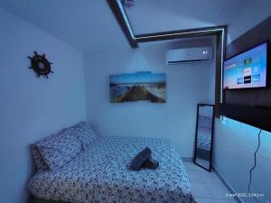 a small bedroom with a bed and a tv at Sleep relax v in Fajardo