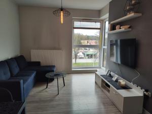 a living room with a blue couch and a tv at Apartament Ela in Żywiec