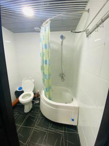 a bathroom with a tub and a toilet and a shower at Guest house Afsona old city in Bukhara