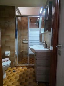 a bathroom with a shower and a sink and a toilet at Cosy apartment in Sparta in Sparta +29 photos