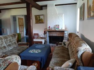 a living room with a couch and a fireplace at Jabłkowo-na skraju Puszczy Boreckiej ŚNIADANIA W CENIE in Jabłonowo
