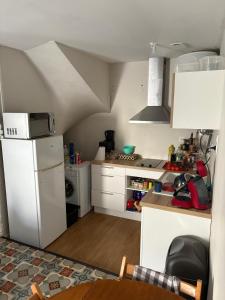 a small kitchen with white cabinets and a white refrigerator at Charmant appartement entre mer et vignes in Portel-des-Corbières