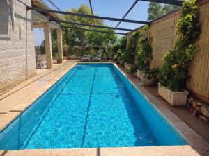 a swimming pool with blue water in a backyard at נופש בפינה in Rosh Pinna