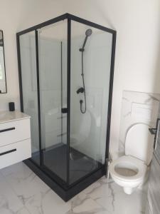 a bathroom with a shower and a toilet at Studio de Vincent in Bordeaux-Saint-Clair