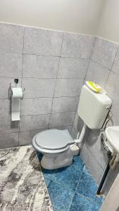 a bathroom with a toilet and a sink at "Augustina" apartment in Topliţa +6 photos