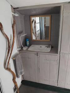 a bathroom with a sink and a mirror at Cabane sous les oliviers in Saint-Ambroix