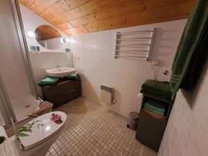 a small bathroom with a sink and a toilet at Zoberhof - Ferienhof zum Zoberbauer in Oberammergau