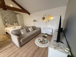 a living room with a couch and a television at Petite Merveille sous les toits - Centre de Dijon in Dijon +32 photos
