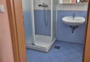 a bathroom with a shower and a sink at Modrina in Kobarid