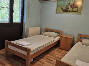 a bedroom with two beds and a picture of a horse at Modrina in Kobarid