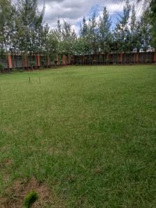 a large field of grass with a fence and trees at Haven Breeze Villas in Nakuru