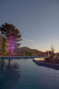 a large swimming pool with a tree in the background at Elegance Hotel Tandil in Tandil +15 photos