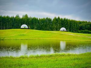 two domes on a hill next to a body of water at Ozols in Vecpiebalga
