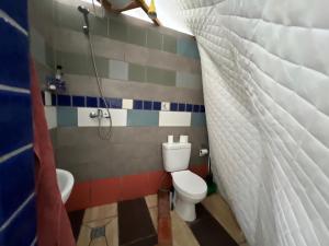 a small bathroom with a toilet and a shower at Ozols in Vecpiebalga