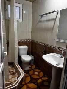 a bathroom with a toilet and a sink at Tskaltubo Guesthouse Oda in Tsqaltubo