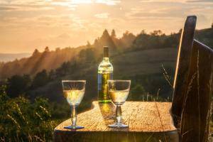 a bottle of wine and two glasses on a table at Ferienwohnung Seese Wansleben am See in Wansleben